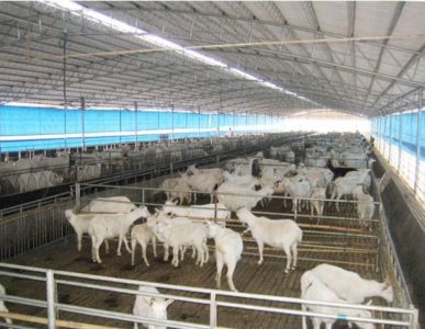 What are the installation steps of sheep manure fermentation equipment?