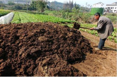 Advantages of producing organic fertilizer from animal manure